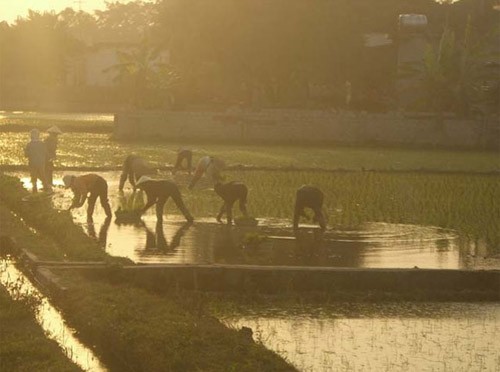 Rural life through children’s eyes  - ảnh 8